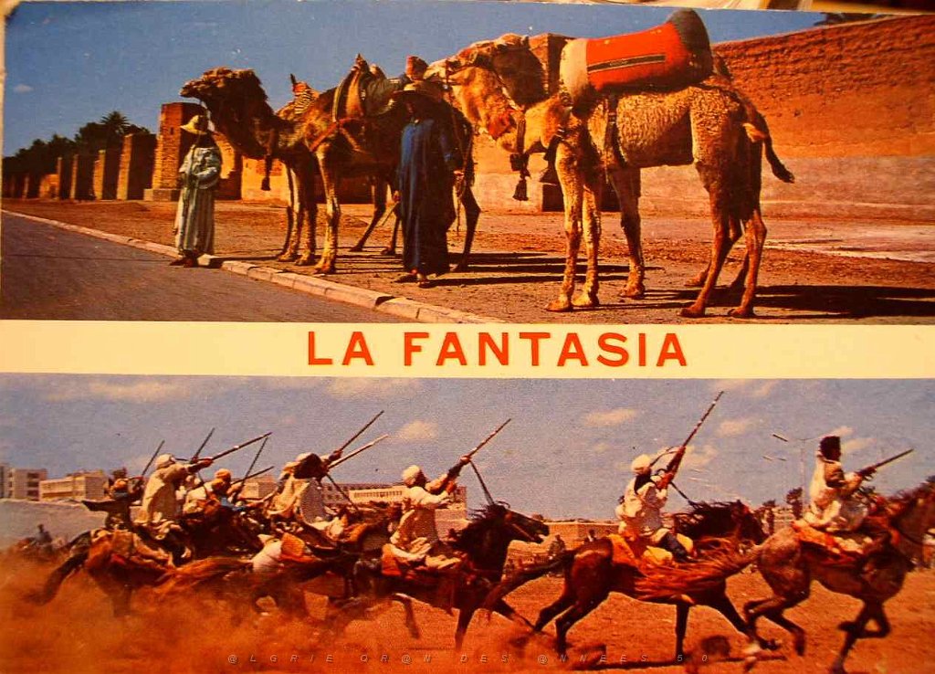 ORAN FANTASIA DU COTE MAROC.JPG